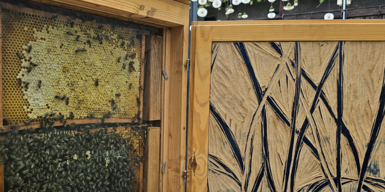 Tag des offenen Bienenstocks